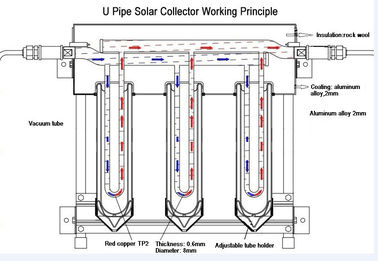 Thermosiphon Copper Coil U Pipe Solar Collector Free Standing Wall Mounting Installation